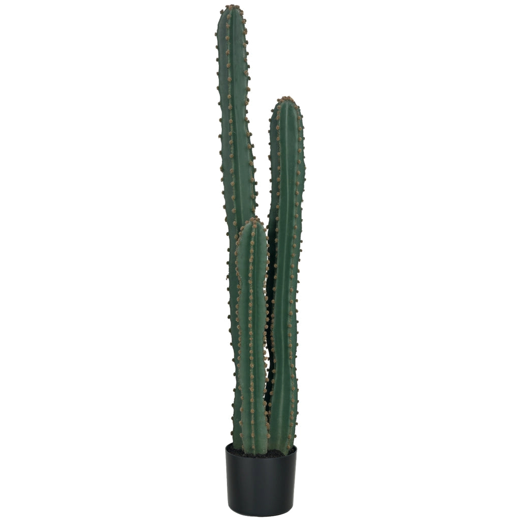 Pianta Cactus Artificiale ¨C Xylo ¨C Verde ? 18 x 120H cm