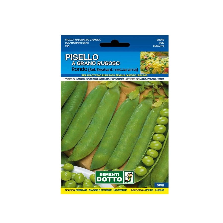 SEMENTI PISELLO A GRANO RUGOSO RONDO MEZZARAMA VARIETÀ PRODUTTIVA PER ORTO SEMIA
