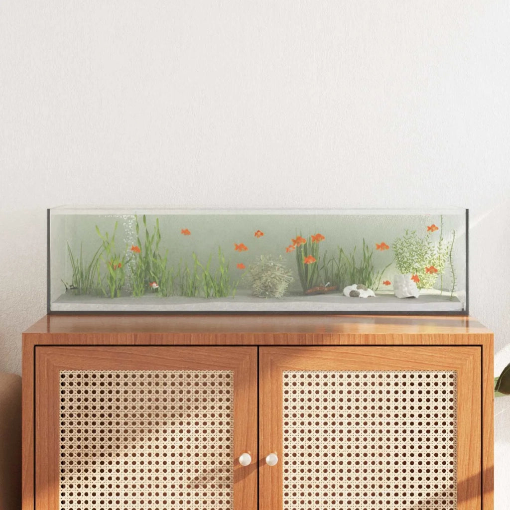 Acquario con archiviazione Trasparente 80 x 20 x 20 cm Vetro 42020386
