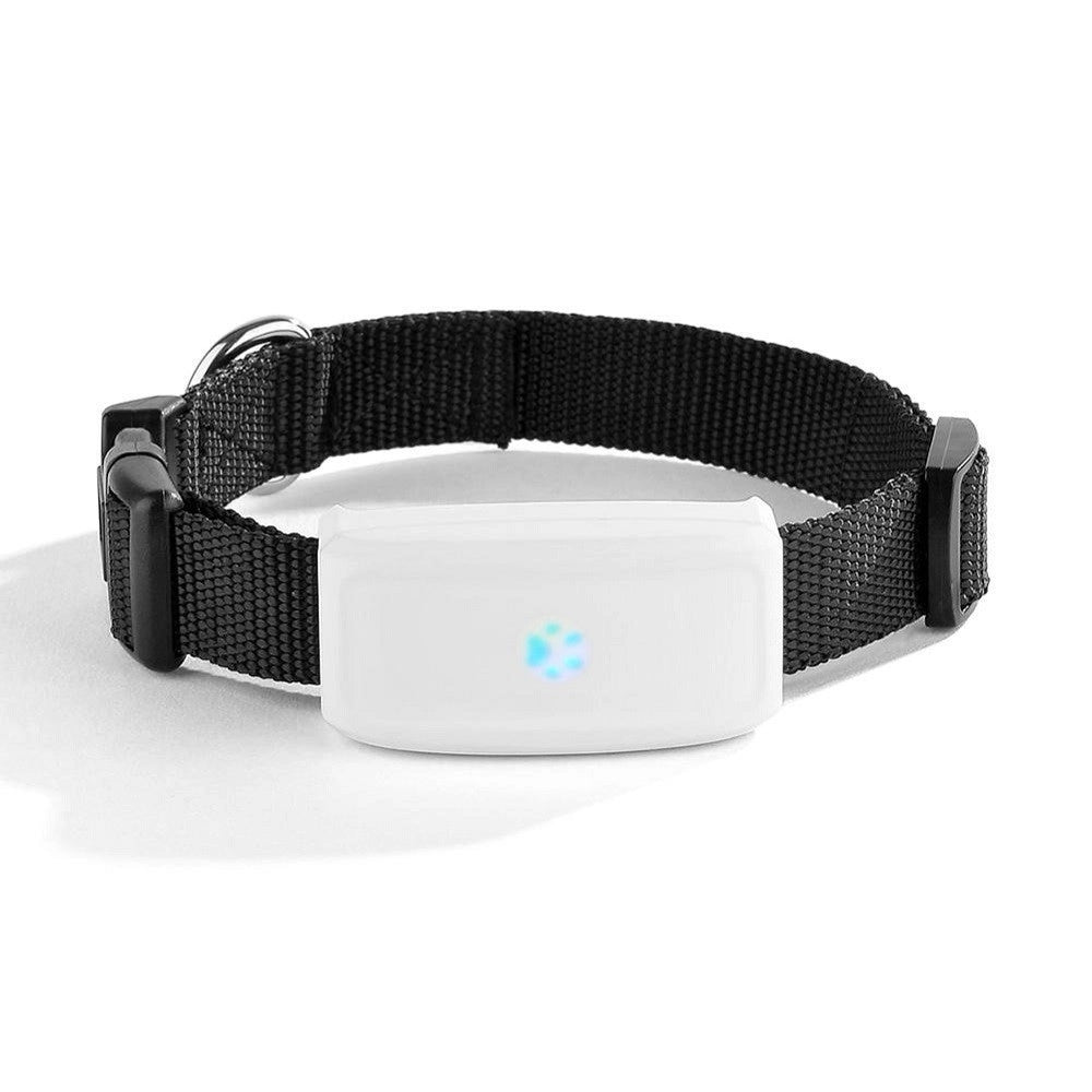 Trade Shop - Collare Localizzatore Gps Gsm Tracker Per Animali Cane Gatto Con Collare -